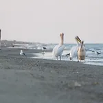 Resort Village