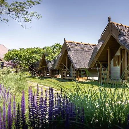 Village 4* Sfântu Gheorghe