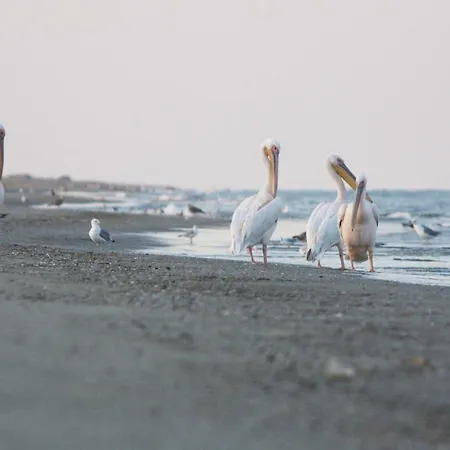 Üdülőközpont Village